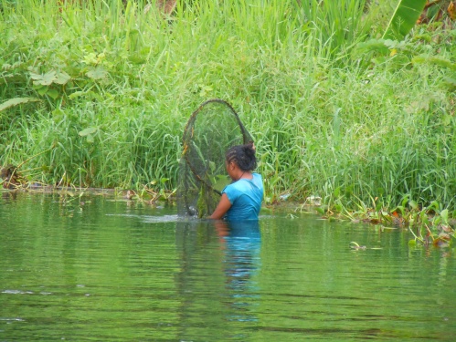 Fishing in Lake Sentani adds a healthy protein source for people living there. Fish was abundant in the markets.