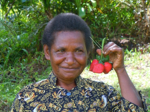 Martha shows off the plump strawberries harvested from her garden. Because I knew her name, I could address her as Ibu Martha.