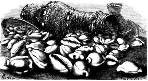 Cowry shells, Cypraea moneta. Now: Monetaria moneta (Linnaeus, 1758)