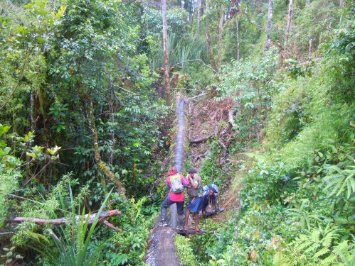 The jungle trek can be exceedingly challenging, even for the fittest visitor!
