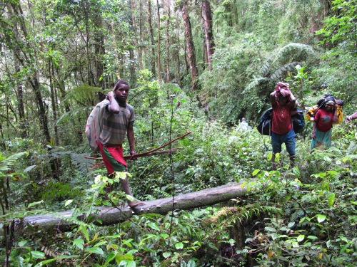 Crossing the slick logs en route to Carstensz Pyramid didn't seem to challenge our porters at all!