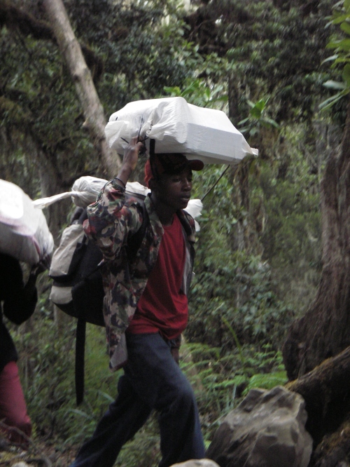 Porter on Kilimanjaro's Machame Route in Tanzania, Africa